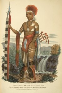 Kee-o-kuck of De Waakzame Vos